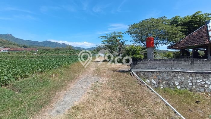 Tanah Dijual Lokasi Selogiri, Wonogiri dengan Luas Tanah 14358m2 dan Status SHM Tanah Dijual Lokasi Selogiri, Wonogiri dengan Luas Tanah 14358m2 dan Status SHM
