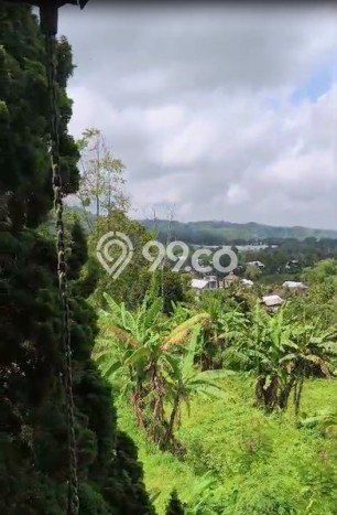 Hunian Terbaik! Vila di Karangpandan, Dimensi 6195m2m², Area Nyaman dan tenang Hunian Terbaik! Vila di Karangpandan, Dimensi 6195m2m², Area Nyaman dan tenang