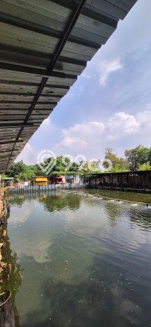 Tanah Dijual Lokasi Cilincing, Jakarta Utara Luas 5330m2 Legalitas Aman Tanah Dijual Lokasi Cilincing, Jakarta Utara Luas 5330m2 Legalitas Aman