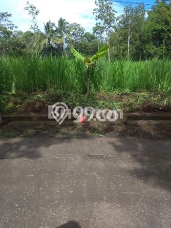 Tanah Strategis di Kedungkandang, Luas 112m2m², Ideal untuk Perumahan Tanah Strategis di Kedungkandang, Luas 112m2m², Ideal untuk Perumahan