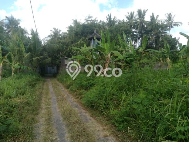 Tanah di Gianyar, Luas 200m², Akses Pusat Kota, Potensi Menjanjikan Tanah di Gianyar, Luas 200m², Akses Pusat Kota, Potensi Menjanjikan