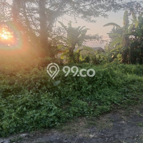 Dijual Tanah Lokasi Mas, Gianyar Seluas 257m2 Dijual Tanah Lokasi Mas, Gianyar Seluas 257m2