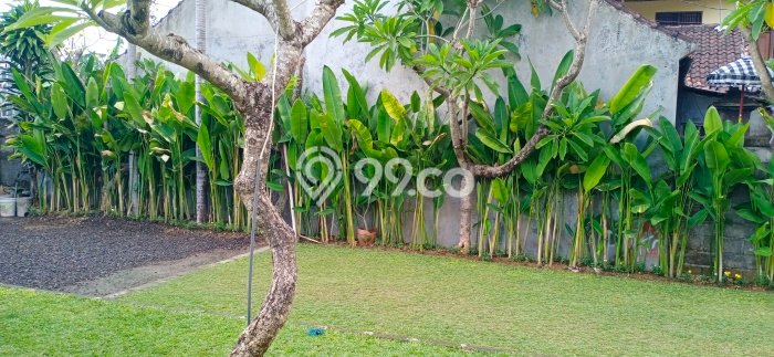 LOKASI PREMIUM! Tanah di Sanur, Luas 500m², Ideal untuk Investasi LOKASI PREMIUM! Tanah di Sanur, Luas 500m², Ideal untuk Investasi