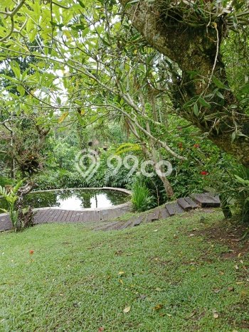 Siap Huni Rumah Mewah 4 Kamar di Ubud Dekat ke Mana Pun Siap Huni Rumah Mewah 4 Kamar di Ubud Dekat ke Mana Pun