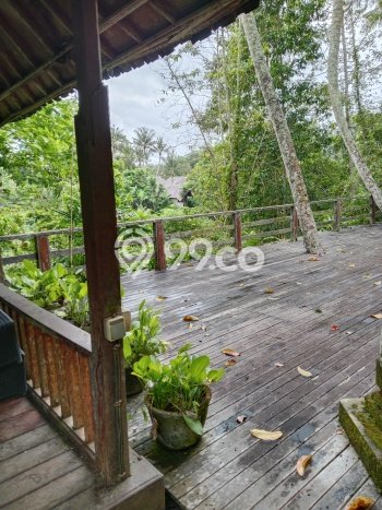 Siap Huni Rumah Mewah 4 Kamar di Ubud Dekat ke Mana Pun Siap Huni Rumah Mewah 4 Kamar di Ubud Dekat ke Mana Pun