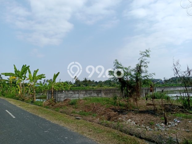 HARGA TERBAIK! Tanah di Gianyar, Luas 400m², Lokasi Strategis HARGA TERBAIK! Tanah di Gianyar, Luas 400m², Lokasi Strategis