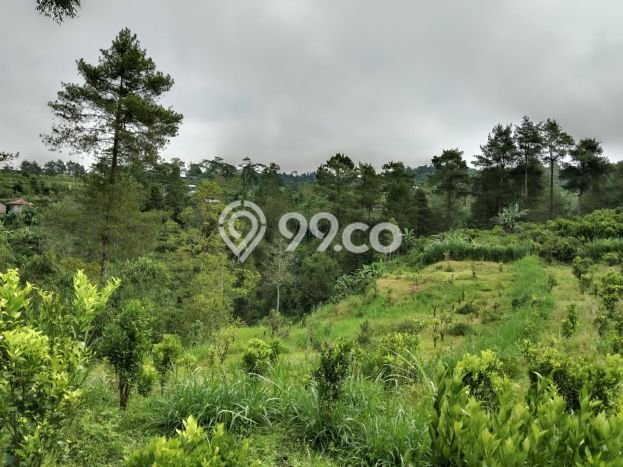 Dijual Tanah di Payangan Gianyar Luas 20200m2 SHM Dijual Tanah di Payangan Gianyar Luas 20200m2 SHM