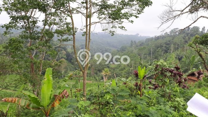 Dijual Tanah di Payangan Gianyar Luas 20200m2 SHM Dijual Tanah di Payangan Gianyar Luas 20200m2 SHM