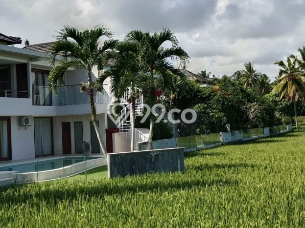 Dijual Rumah Premium dengan Fasilitas Sekitar Lengkap di Ubud, Gianyar Dijual Rumah Premium dengan Fasilitas Sekitar Lengkap di Ubud, Gianyar