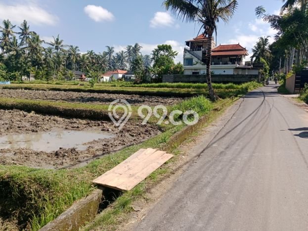 Siap Huni Rumah Mewah 2 Kamar di Ubud Dekat ke Mana Pun Siap Huni Rumah Mewah 2 Kamar di Ubud Dekat ke Mana Pun