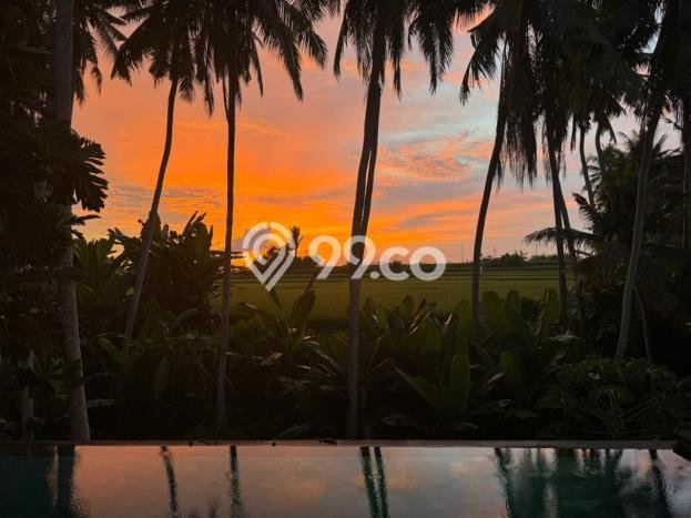 Hunian Mewah Siap Huni LT 430m2 di Ubud, Gianyar Hunian Mewah Siap Huni LT 430m2 di Ubud, Gianyar