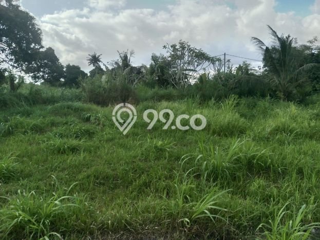 Tanah di Gianyar, Luas 200m², Akses Pusat Kota, Potensi Menjanjikan Tanah di Gianyar, Luas 200m², Akses Pusat Kota, Potensi Menjanjikan