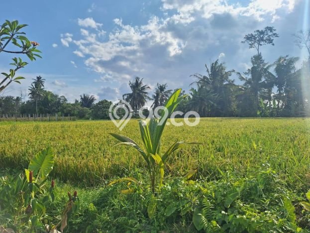 PROPERTI UNGGULAN! Rumah area Ubud, 1 KM, Area Elite, LT 150m² LB 100m² PROPERTI UNGGULAN! Rumah area Ubud, 1 KM, Area Elite, LT 150m² LB 100m²