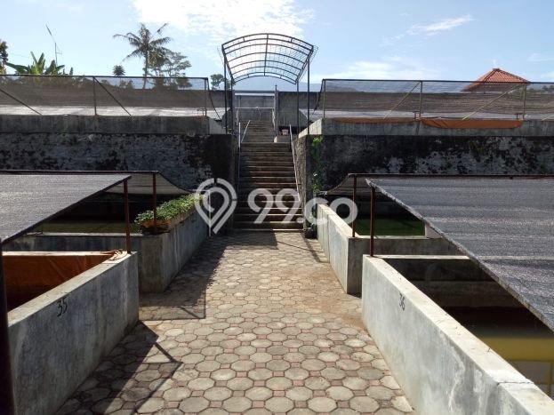 Best Deal Hunian Mewah Ideal dan Luas di Caringin, Bogor Best Deal Hunian Mewah Ideal dan Luas di Caringin, Bogor