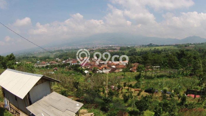 Lahan Investasi Lokasi Bumiaji Batu - Lahan Investasi Lokasi Bumiaji Batu -