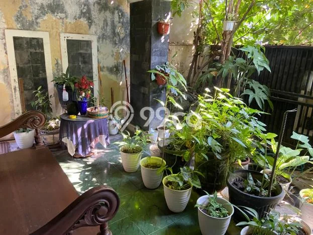 Dijual Rumah Luas Elegan Dengan View Eksklusif di Kembang Arum, Semarang Dijual Rumah Luas Elegan Dengan View Eksklusif di Kembang Arum, Semarang