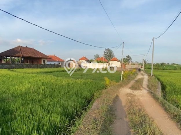 Tanah Kosong Dijual di Badung dengan Area 200m2 Tanah Kosong Dijual di Badung dengan Area 200m2
