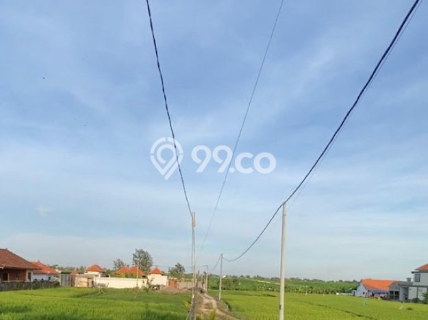 Tanah Kosong Dijual di Badung dengan Area 200m2 Tanah Kosong Dijual di Badung dengan Area 200m2