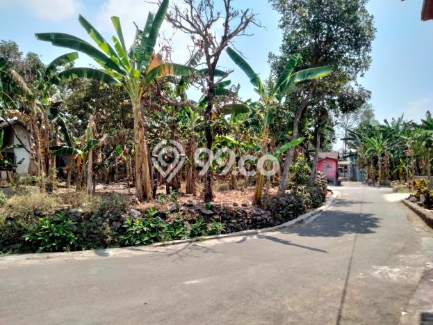 Tanah untuk Dijual di Ngaglik Sleman Luas 438m2 Tanah untuk Dijual di Ngaglik Sleman Luas 438m2
