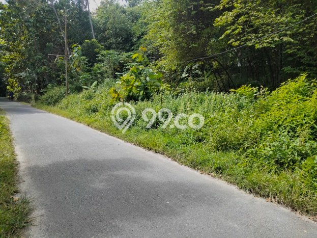 Kavling Tanah Dijual di Gamping Sleman Spesifikasi 200m2 Kavling Tanah Dijual di Gamping Sleman Spesifikasi 200m2