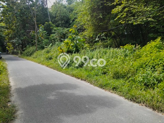 Kavling Tanah Dijual di Gamping Sleman Spesifikasi 200m2 Kavling Tanah Dijual di Gamping Sleman Spesifikasi 200m2