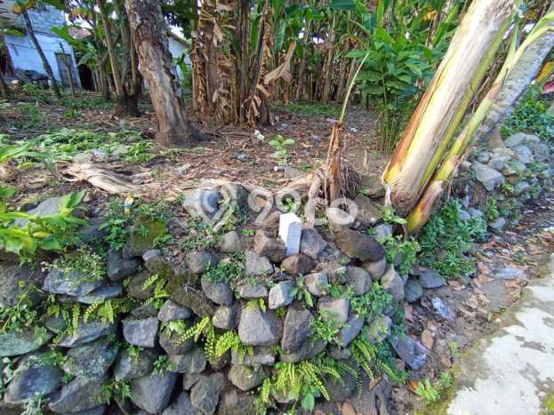 Tanah untuk Dijual di Ngaglik Sleman Luas 438m2 Tanah untuk Dijual di Ngaglik Sleman Luas 438m2