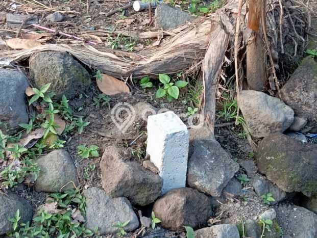 Tanah di Ngaglik, Sleman Luas 438m2 Dijual Segera Tanah di Ngaglik, Sleman Luas 438m2 Dijual Segera