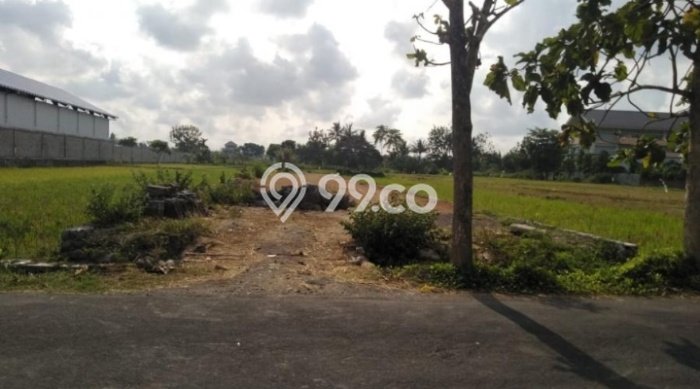 Kavling Tanah di Gamping Dijual Luas 1782m2 Legalitas SHM Kavling Tanah di Gamping Dijual Luas 1782m2 Legalitas SHM