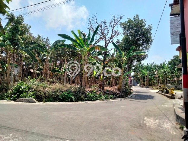 Tanah di Ngaglik, Sleman Luas 438m2 Dijual Segera Tanah di Ngaglik, Sleman Luas 438m2 Dijual Segera