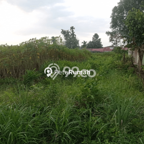 HARGA TERBAIK! Tanah di Medan Selayang, Luas 780m2m², Akses Jalan Raya, Area Potensial HARGA TERBAIK! Tanah di Medan Selayang, Luas 780m2m², Akses Jalan Raya, Area Potensial