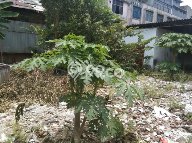 For Sale Tanah Kawasan Jelambar, Luas 2160m², Lokasi Potensial For Sale Tanah Kawasan Jelambar, Luas 2160m², Lokasi Potensial