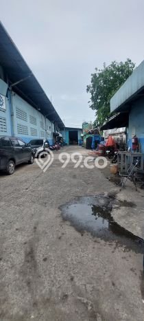 Gudang Bagus Dijual di Kapuk Jakarta Utara Strategis Cocok untuk Kembangkan Bisnis Gudang Bagus Dijual di Kapuk Jakarta Utara Strategis Cocok untuk Kembangkan Bisnis