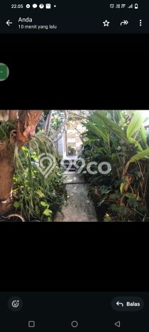 Dijual Rumah Ideal Siap Huni di Gianyar Favorit Dijual Rumah Ideal Siap Huni di Gianyar Favorit