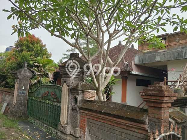 Rumah Luas Asri 7 KT Siap Huni di Petulu Gianyar Rumah Luas Asri 7 KT Siap Huni di Petulu Gianyar