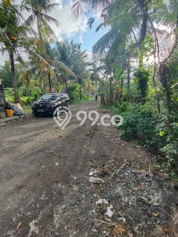 Hunian Nyaman Asri 8 KT Siap Pakai di Buruan Gianyar Hunian Nyaman Asri 8 KT Siap Pakai di Buruan Gianyar