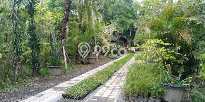 For Sale Rumah Elit Exclusive di Ubud, Gianyar For Sale Rumah Elit Exclusive di Ubud, Gianyar