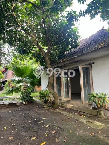 Hunian Luxury di Gianyar Lokasi Strategis Kondisi Baik Hunian Luxury di Gianyar Lokasi Strategis Kondisi Baik