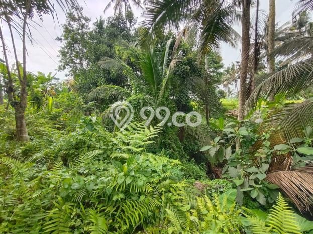 Hunian Luxury Best Location di Gianyar, Bali Hunian Luxury Best Location di Gianyar, Bali
