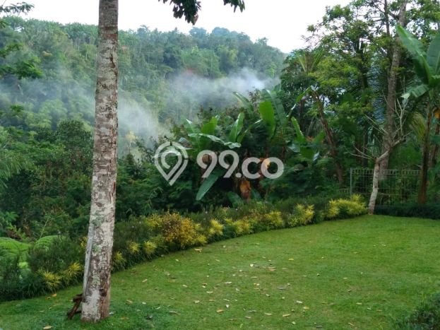 Siap Huni Hunian Elit 0 Kamar di Payangan Dekat ke Mana Saja Siap Huni Hunian Elit 0 Kamar di Payangan Dekat ke Mana Saja
