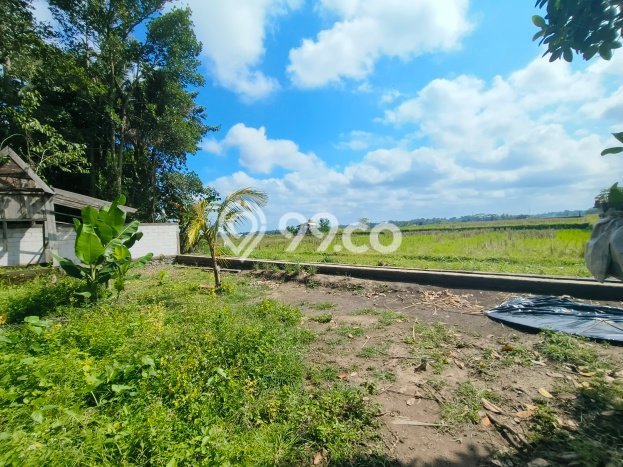 Dijual Tanah 1000m2 di Sayan, Gianyar Dijual Tanah 1000m2 di Sayan, Gianyar