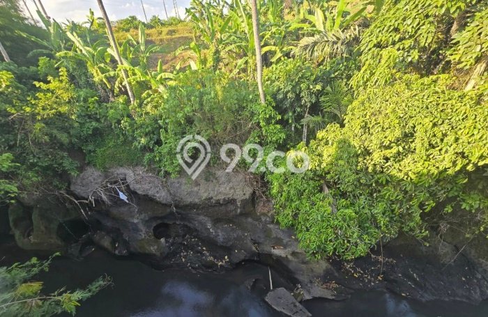 Rumah Luas Asri 3 KT Siap Pakai di Ketewel Gianyar Rumah Luas Asri 3 KT Siap Pakai di Ketewel Gianyar
