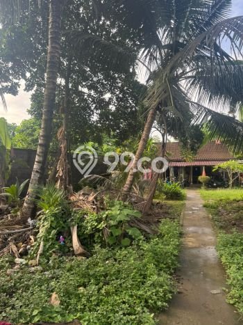 Tanah untuk Dijual Lokasi Ubud, Gianyar Luas 550m2 SHM Tanah untuk Dijual Lokasi Ubud, Gianyar Luas 550m2 SHM