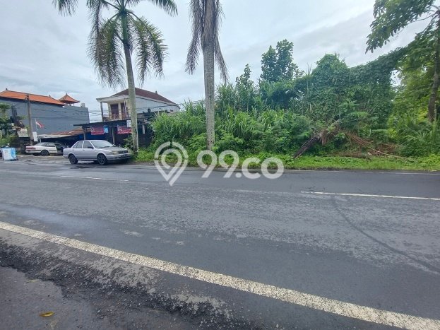 Tanah Kavling di Gianyar Dijual dengan Luas 100000m2 Tanah Kavling di Gianyar Dijual dengan Luas 100000m2