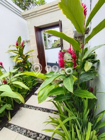 Hot Offer Hunian Mewah Ideal dan Luas di Ubud, Gianyar Hot Offer Hunian Mewah Ideal dan Luas di Ubud, Gianyar