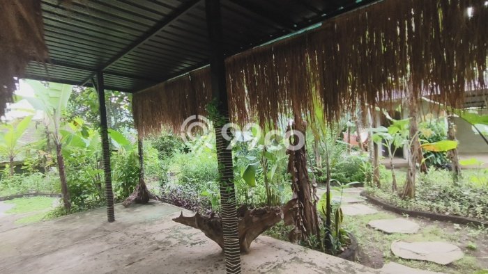 Tanah Bisnis Kawasan Bedulu, Luas 2700m², Lokasi Strategis Tanah Bisnis Kawasan Bedulu, Luas 2700m², Lokasi Strategis