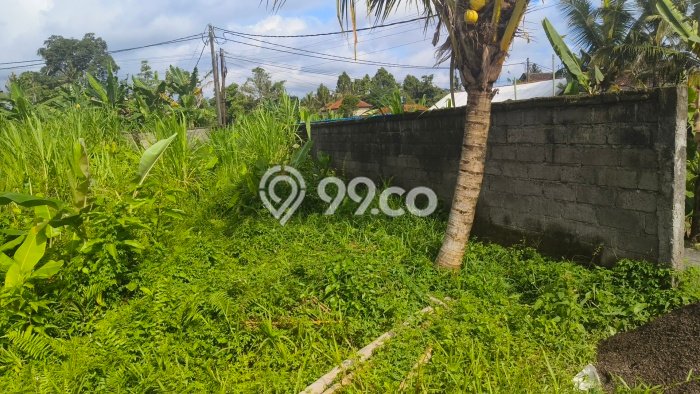 For Sale Tanah di Petulu, Luas 800m², Dekat Petulu, Gianyar, Gianyar For Sale Tanah di Petulu, Luas 800m², Dekat Petulu, Gianyar, Gianyar