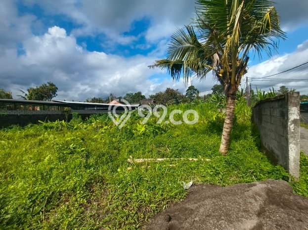 Tanah Kawasan Petulu, Luas 2300m², Lokasi Strategis, Kawasan Asri, Kontur Datar Tanah Kawasan Petulu, Luas 2300m², Lokasi Strategis, Kawasan Asri, Kontur Datar