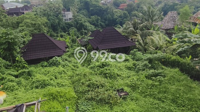 Tanah Kavling Dijual di Gianyar dengan Spesifikasi 900m2 Tanah Kavling Dijual di Gianyar dengan Spesifikasi 900m2