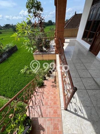 Jual Rumah Favorit Siap Huni LB 300m2 di Ubud, Gianyar Jual Rumah Favorit Siap Huni LB 300m2 di Ubud, Gianyar