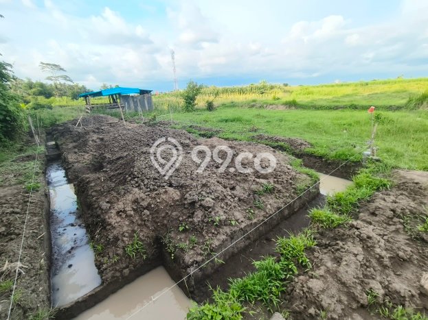 Tanah Kosong Dijual di Gianyar dengan Area 200m2 Tanah Kosong Dijual di Gianyar dengan Area 200m2